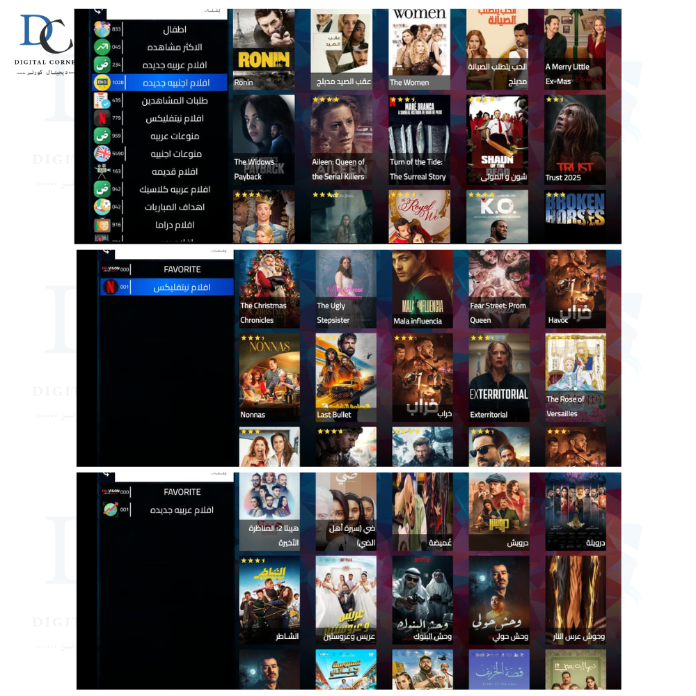 PALVISION iPTV اشتراك لمدة 5 سنوات - الصورة 3